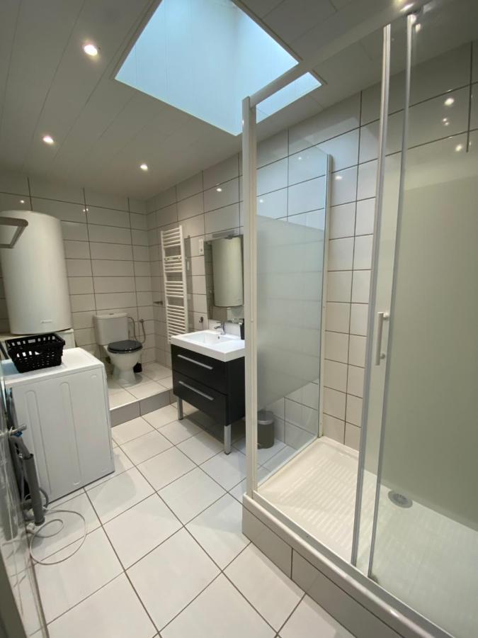 Les Cosy De Nancy - Mister Charles Sous Les Toits, Place Du Marche 4* エクステリア 写真